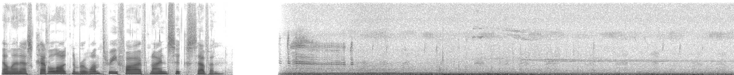 hjelmperlehøne (reichenowi) - ML135967