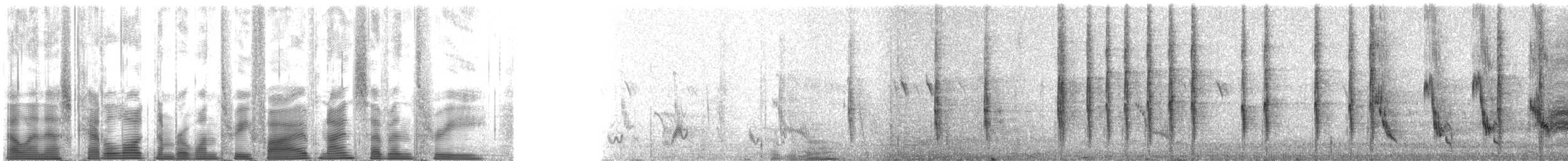 Weißbrauenweber (pectoralis) - ML135973