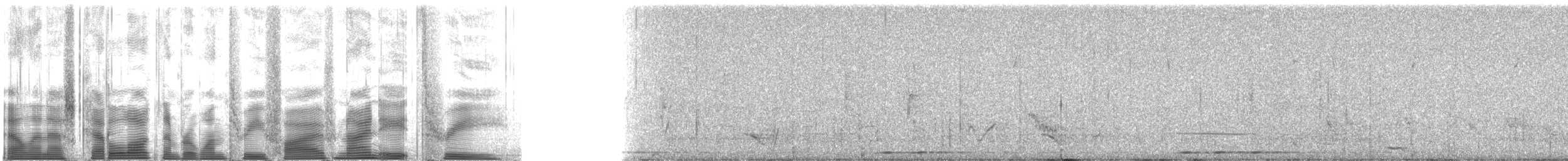 Белоплечая термитница (arnotti) - ML135983