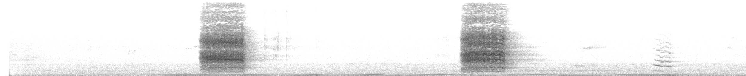 Küçük Korella Kakadusu - ML136022151