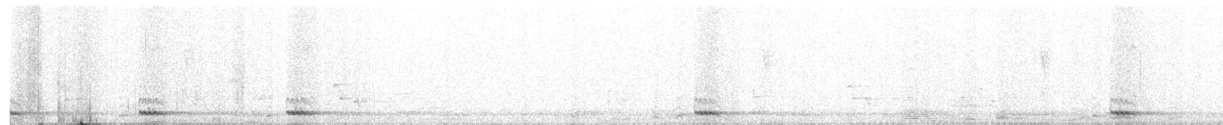 White-cheeked Barbet - ML136033261