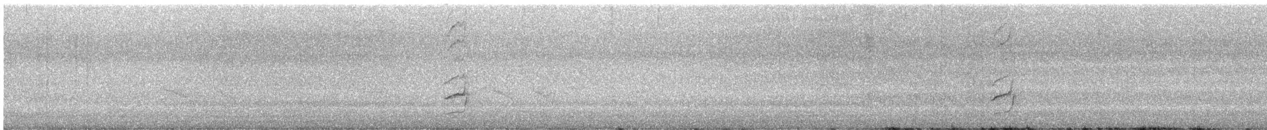 Тонкоклювый цикадник (monacha) - ML136038561
