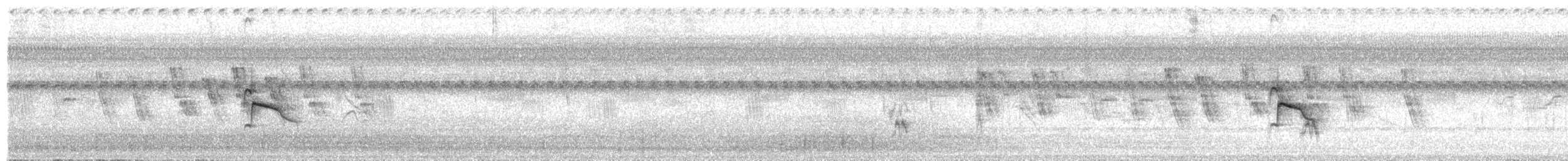 Sedef Karınlı Tohumcul - ML136050571