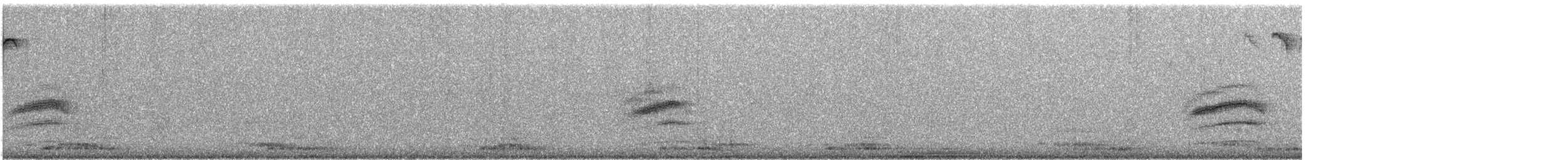 Тауї плямистий - ML136076091