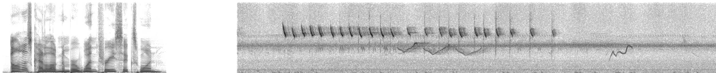 Gray-headed Oliveback - ML1361