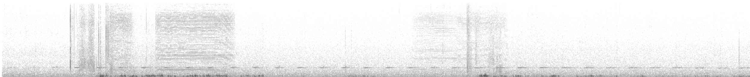 Chevêchette australe - ML136100431