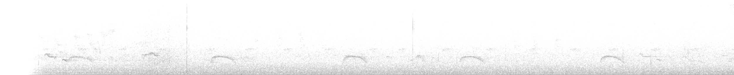 Élénie à cimier blanc (chilensis) - ML136102111
