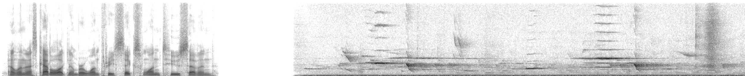 Méliphage carillonneur - ML136127