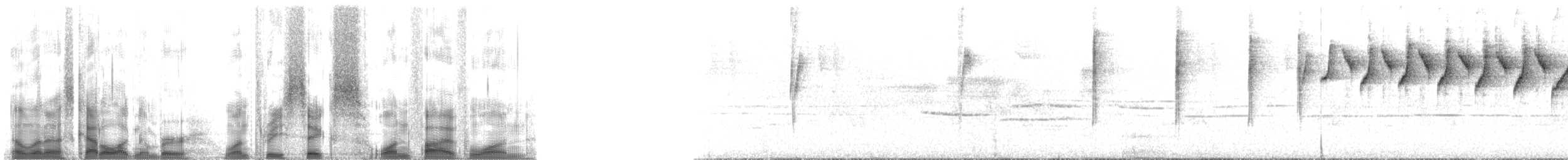 Paruline noir et blanc - ML136151