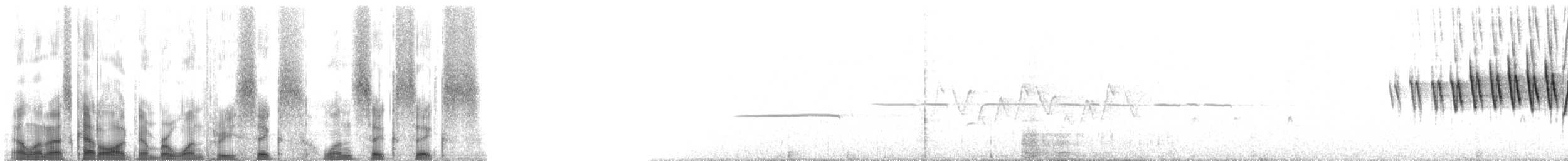 Болотянка мала - ML136166