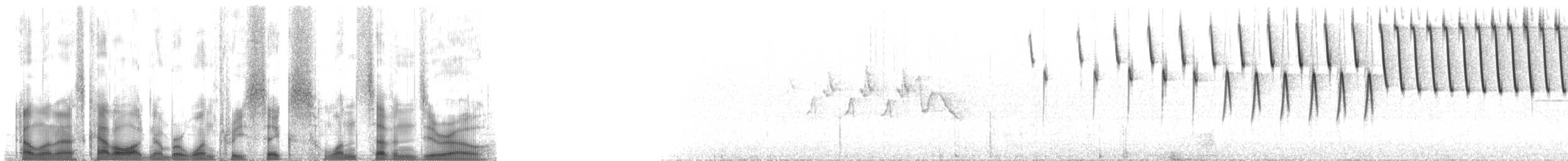 Tennessee Warbler - ML136170