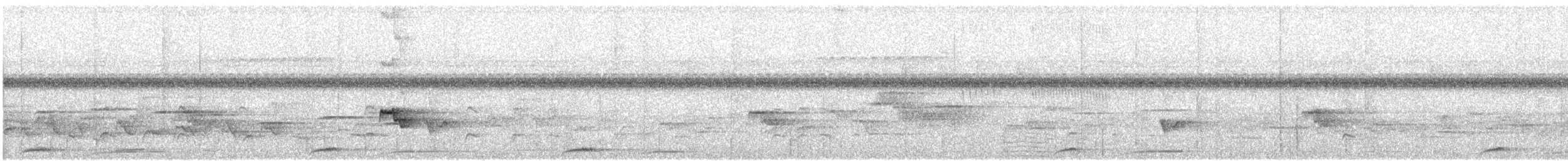 holub skvrnkoprsý - ML136175871