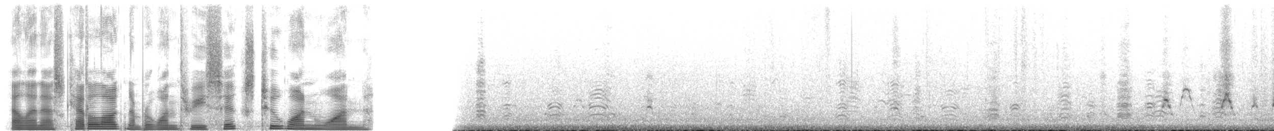 Бурая олуша (leucogaster) - ML136211
