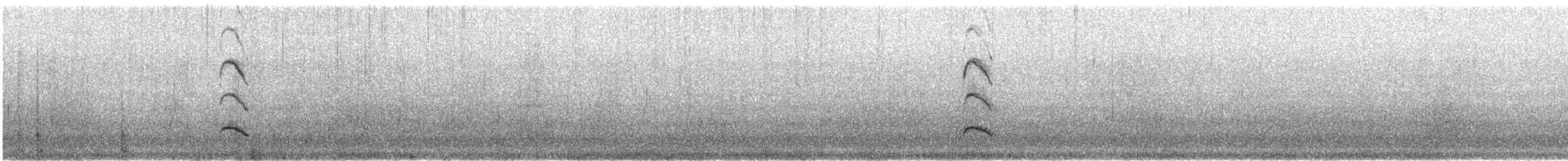 Huîtrier fuligineux - ML136236501