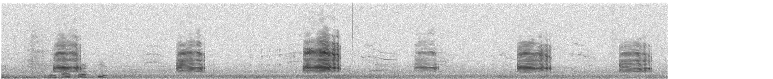 Mouette argentée (novaehollandiae/forsteri) - ML136240771
