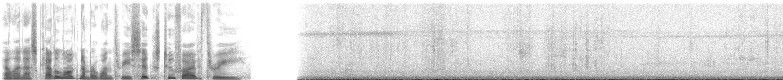 anhinga americká - ML136253