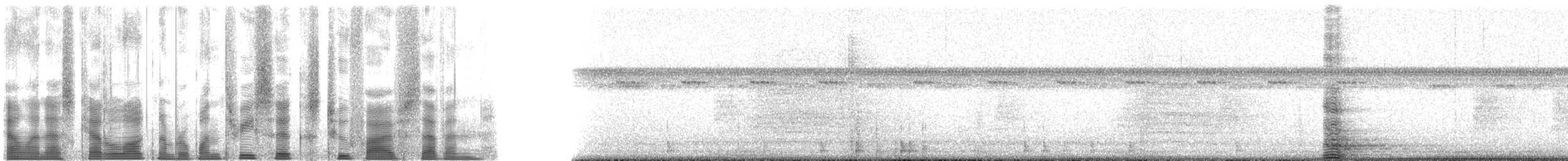 Ібіс білий - ML136257
