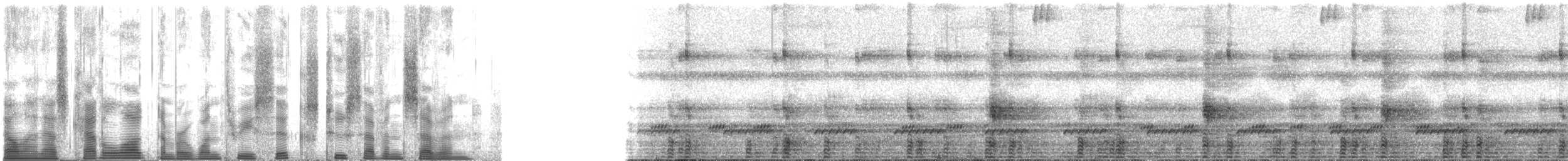 ウマヅラコウモリ - ML136277