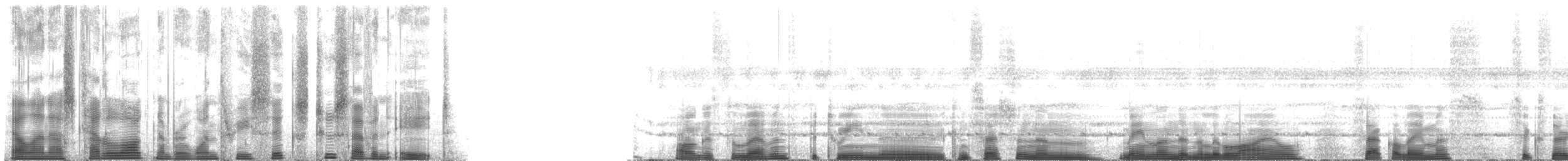 Pel's pouched bat - ML136278