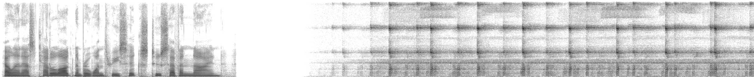 ウマヅラコウモリ - ML136279