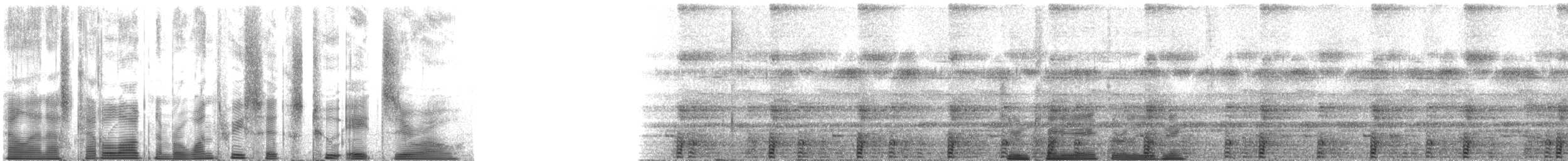 ウマヅラコウモリ - ML136280