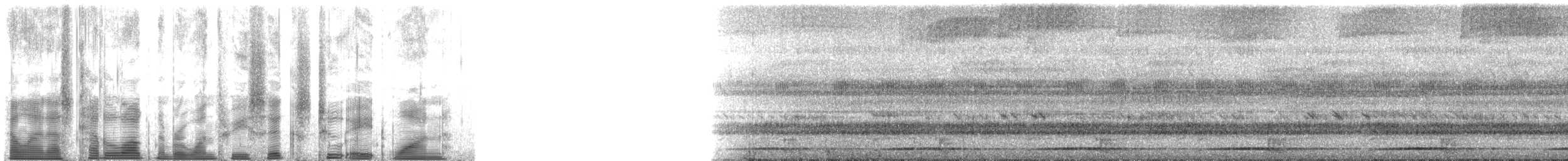 Western Tree Hyrax - ML136281