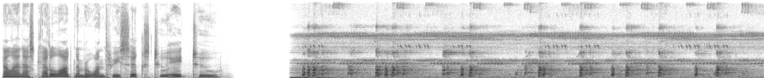 Hammer-headed Fruit Bat - ML136282