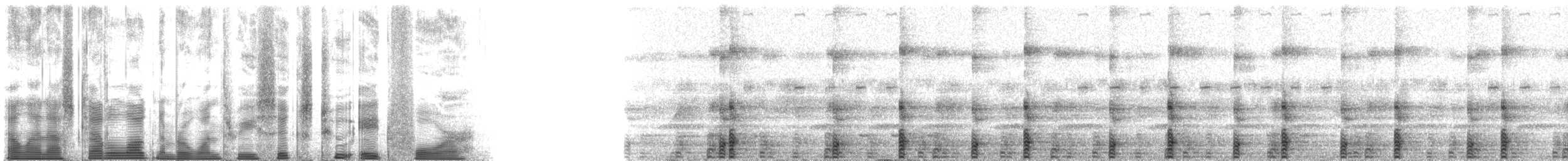 ウマヅラコウモリ - ML136284