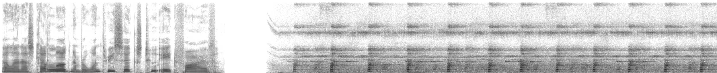 ウマヅラコウモリ - ML136285