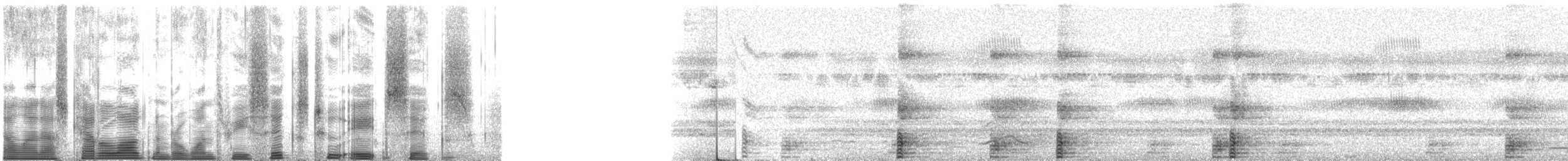 ウマヅラコウモリ - ML136286