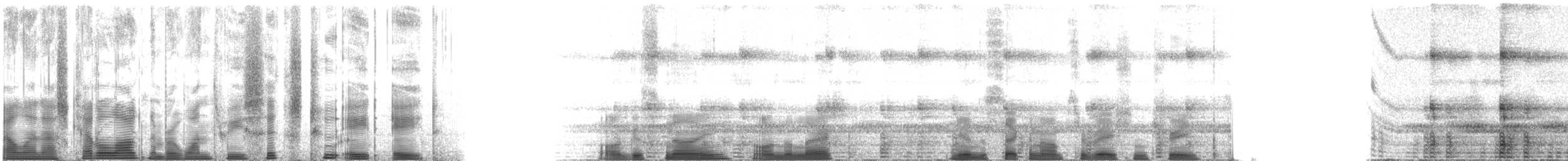 Hammer-headed Fruit Bat - ML136288