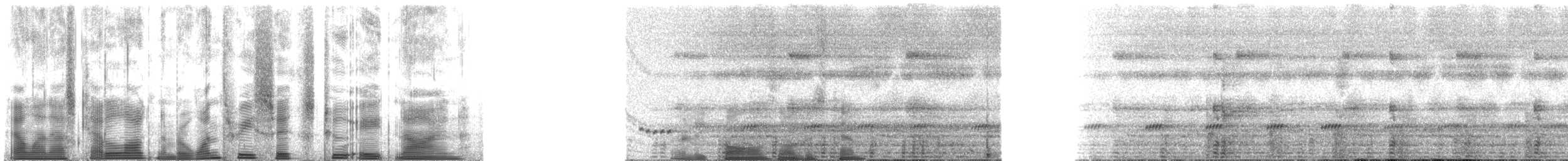 Hammer-headed Fruit Bat - ML136289