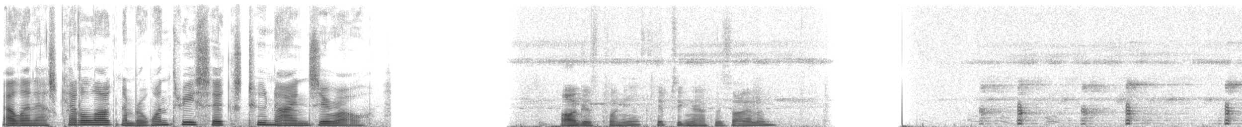 ウマヅラコウモリ - ML136290