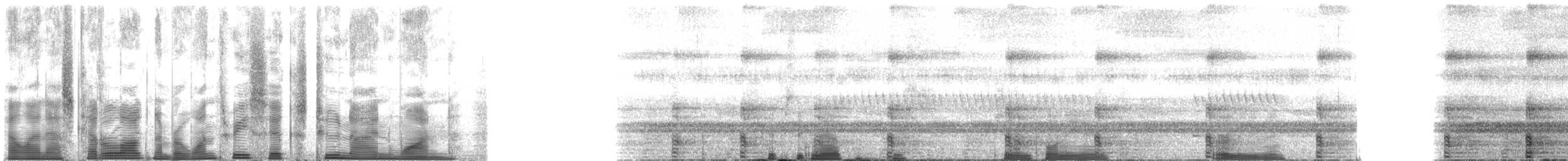 ウマヅラコウモリ - ML136291