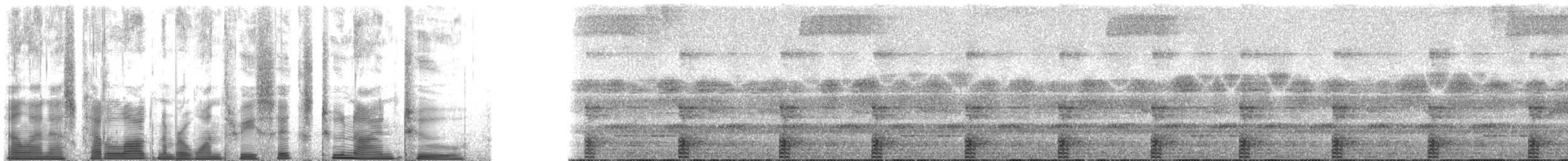 ウマヅラコウモリ - ML136292