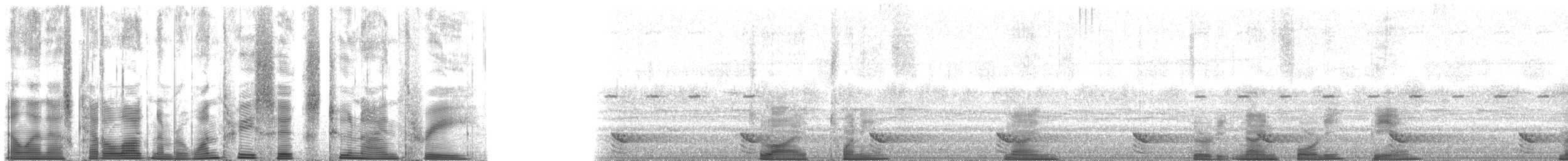 フランケオナシケンショウコウモリ - ML136293