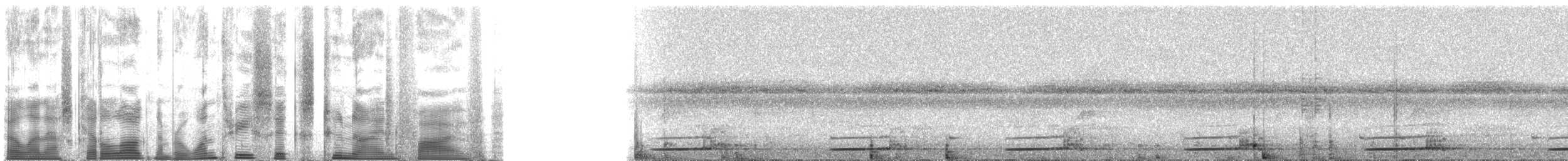 ニシキノボリハイラックス - ML136295