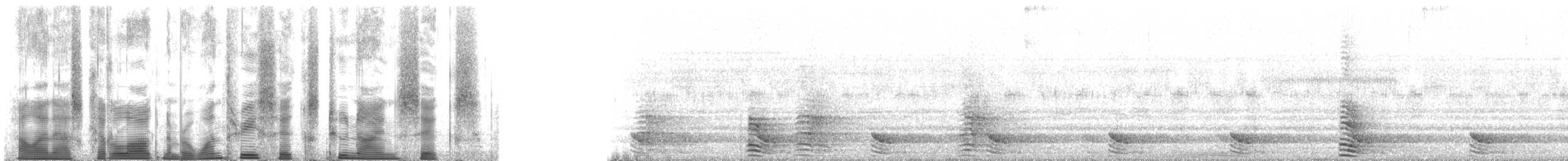 フランケオナシケンショウコウモリ - ML136296