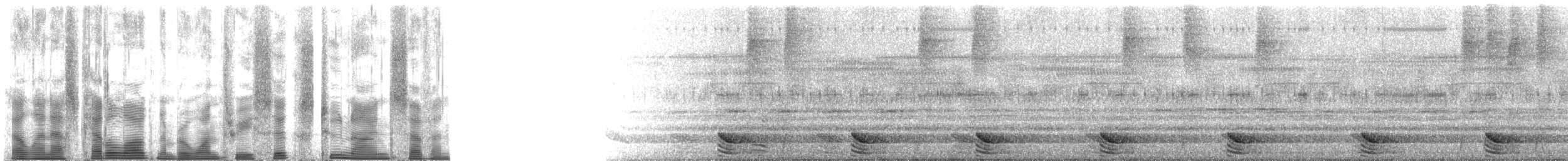 フランケオナシケンショウコウモリ - ML136297