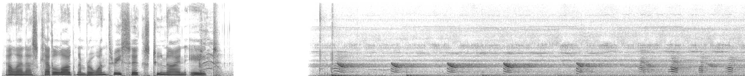 Franquet's Epauletted Bat - ML136298