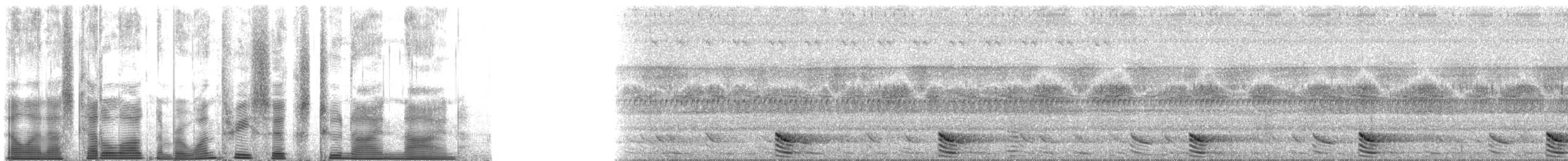 Franquet's Epauletted Bat - ML136299