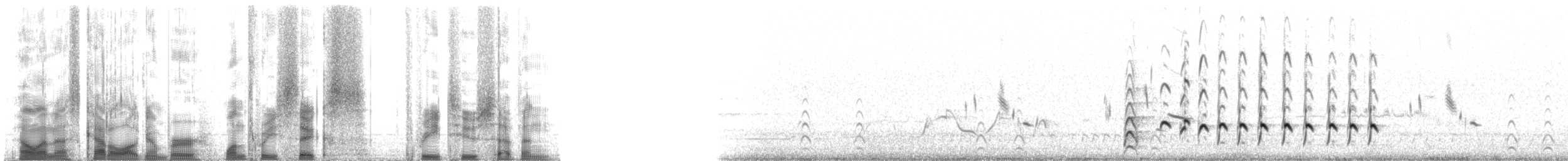 Whimbrel (Hudsonian) - ML136327