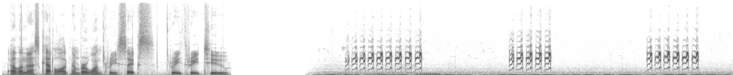 Beringstrandläufer (tschuktschorum) - ML136332