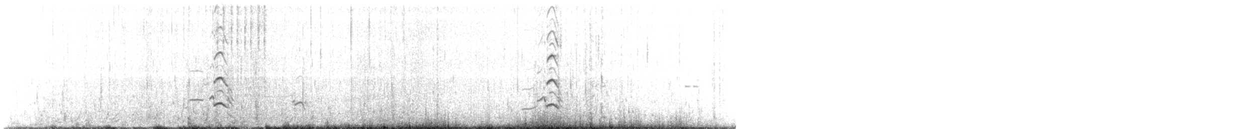 Küt Kuyruklu Korsanmartı - ML136334741