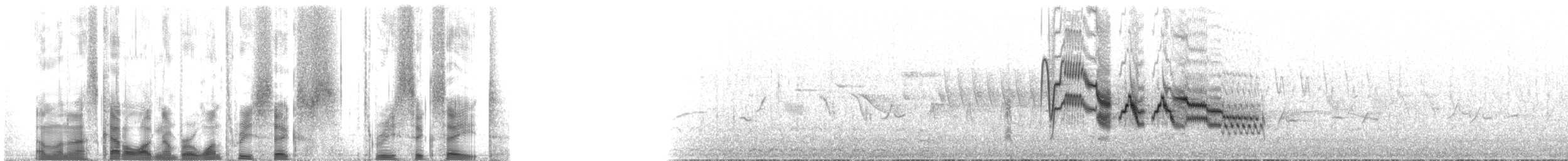 Gray-cheeked Thrush - ML136368