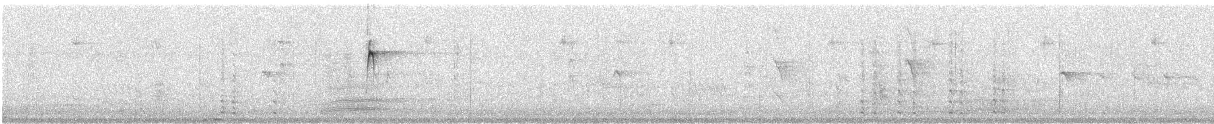 svarthettehonningeter - ML136374531