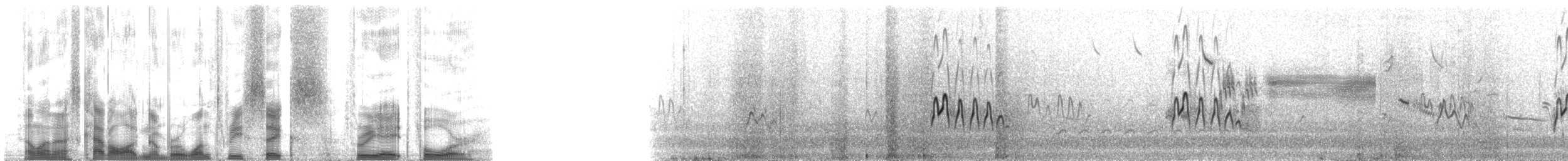 白腰燕鷗 - ML136384