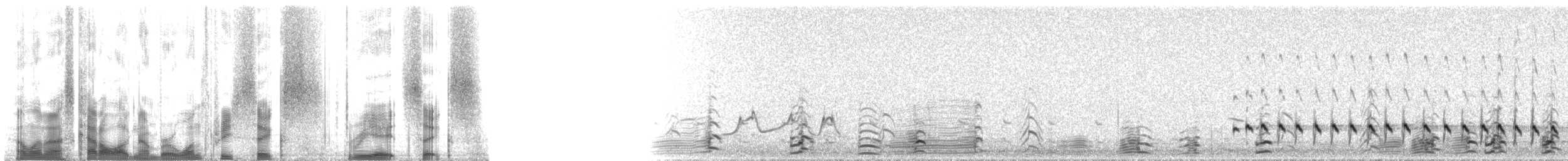 Whimbrel (Hudsonian) - ML136386