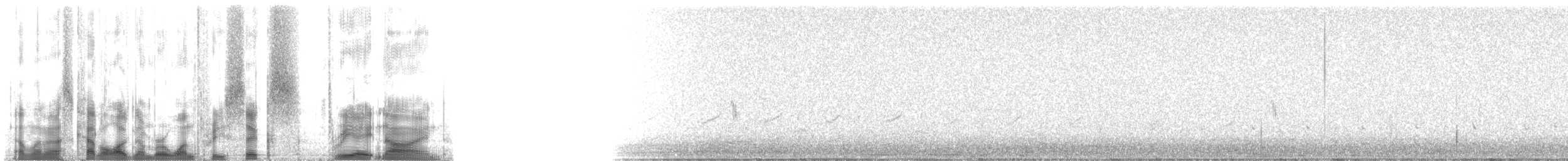 Whimbrel (Hudsonian) - ML136389