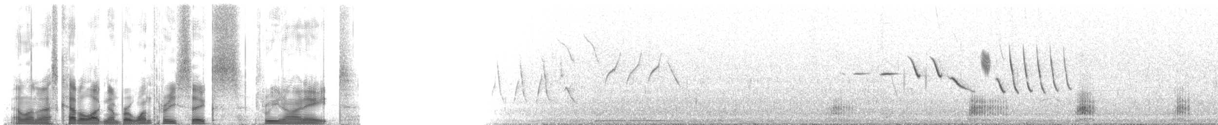 斑背潛鴨 - ML136398